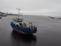 Pilot boat with ice reinforcement 